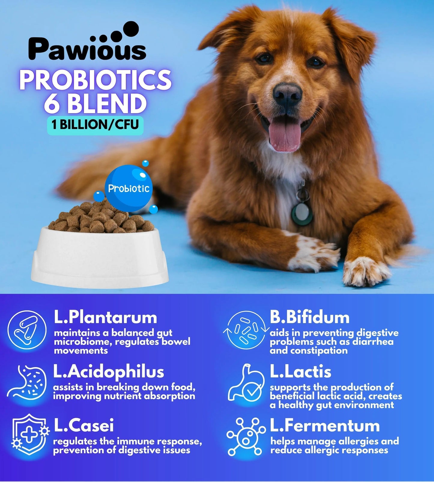 Canine Probiotic Digestive & Immune Health Chews