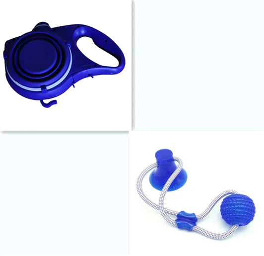 Travel Dog Leash Kit with Water Bowl