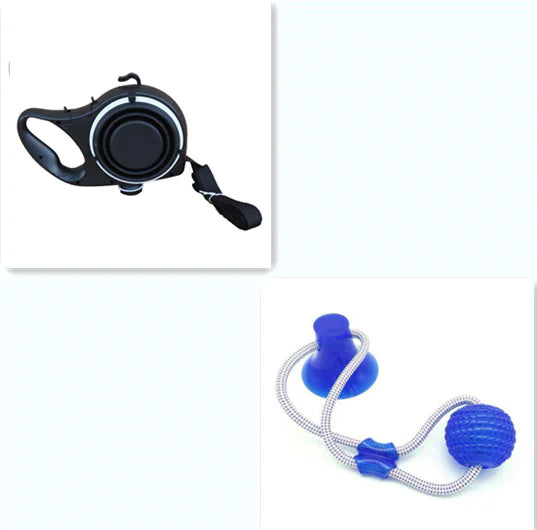 Travel Dog Leash Kit with Water Bowl