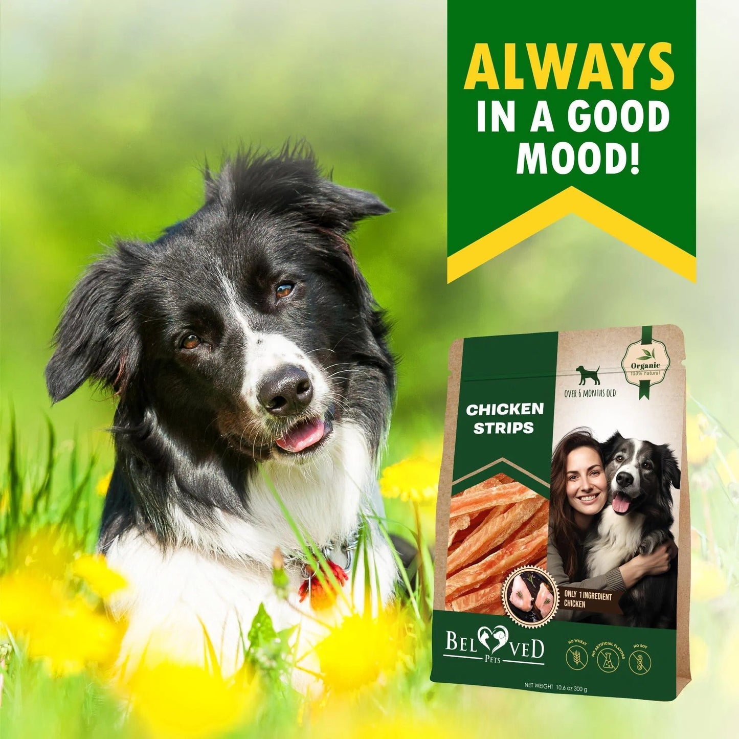 Chicken Strips Dog Treats Human Grade