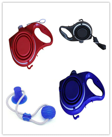 Travel Dog Leash Kit with Water Bowl