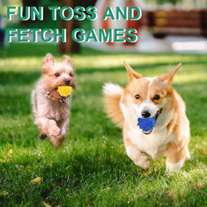 Fetch Balls