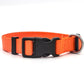 Pet Collar