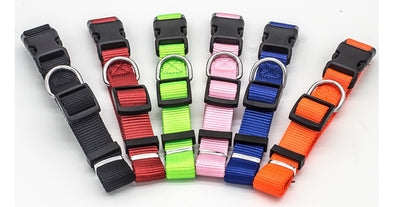 Pet Collar - Little Fur Co. #