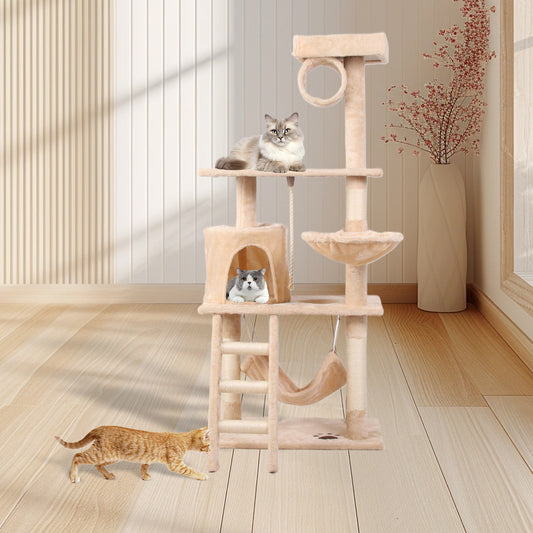 Cat Climbing Condo Tree