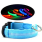 LED PET Safety Collar