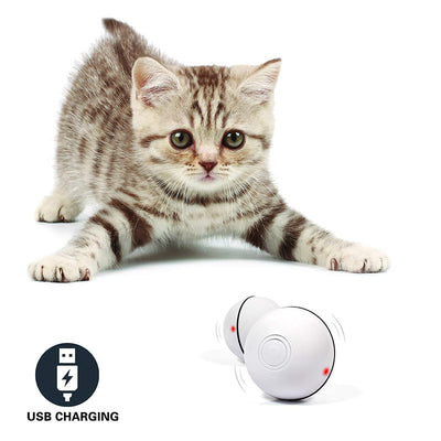 LED Laser Electronic Rolling Pet Funny Cat Toy Ball - Little Fur Co. #