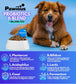 Canine Probiotic Digestive & Immune Health Chews