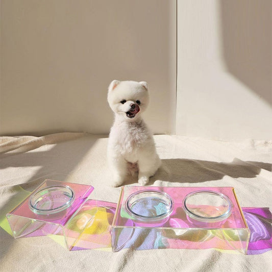 Acrylic Pet Bowl Food Basin
