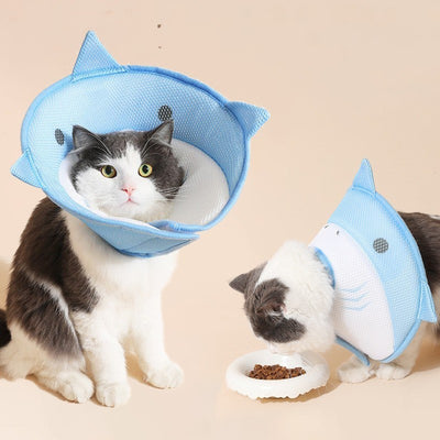 Two cats wearing blue shark-shaped cone collars on a beige background
