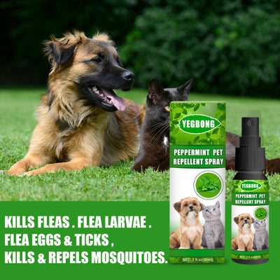 Mint Repellant for Dogs And Cats Spray - Little Fur Co. #