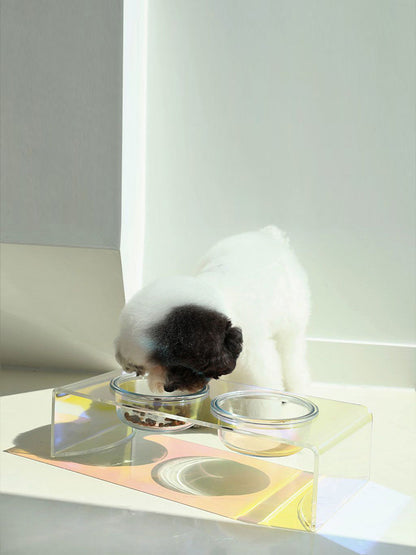 Acrylic Pet Bowl Food Basin